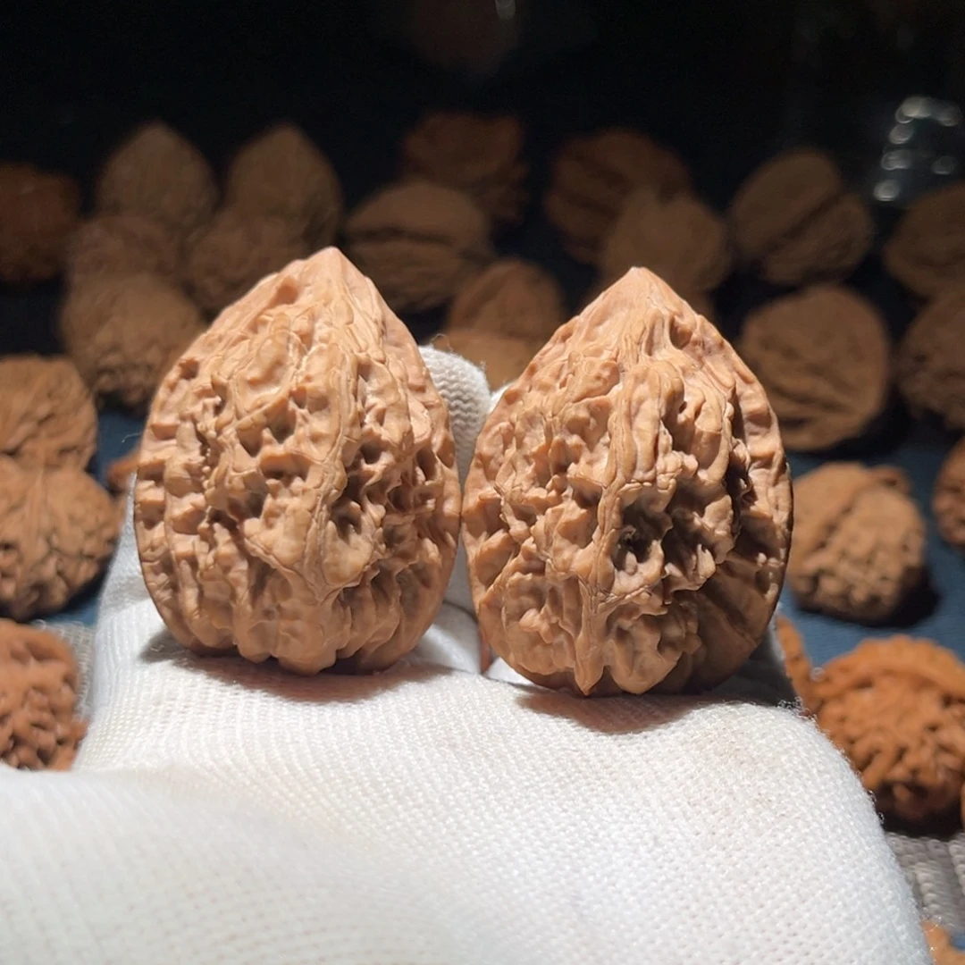 核桃37十三陵鸡心核桃