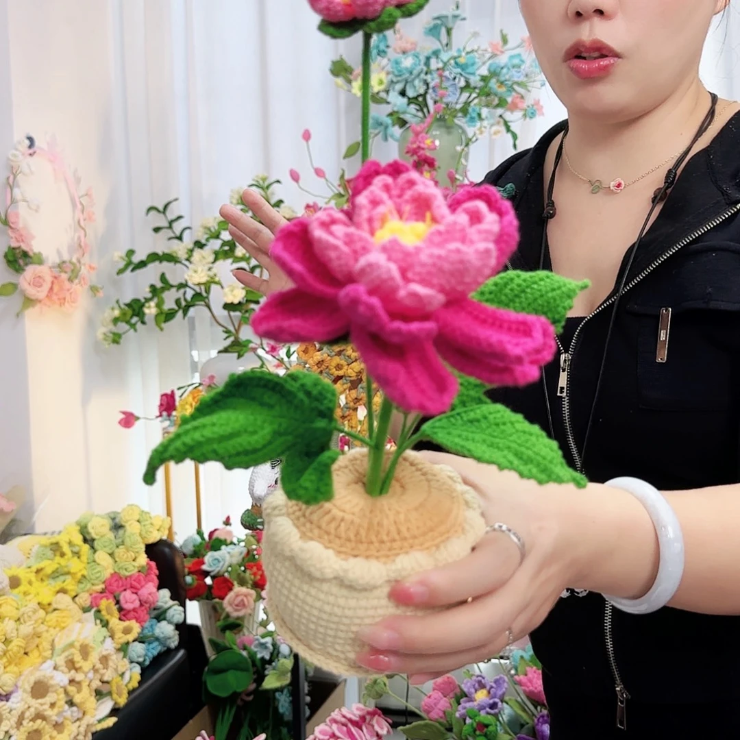手工钩织盆栽花卉