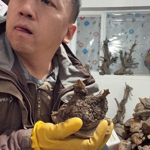 弘***艺柏木崖柏毛料的加工