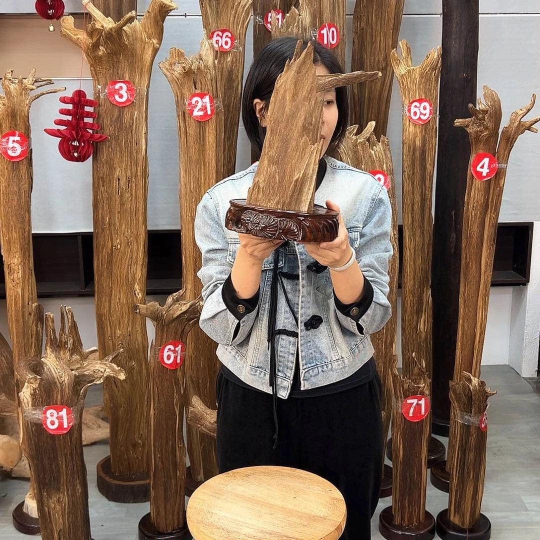 沉香摆件岩海南沉香摆件