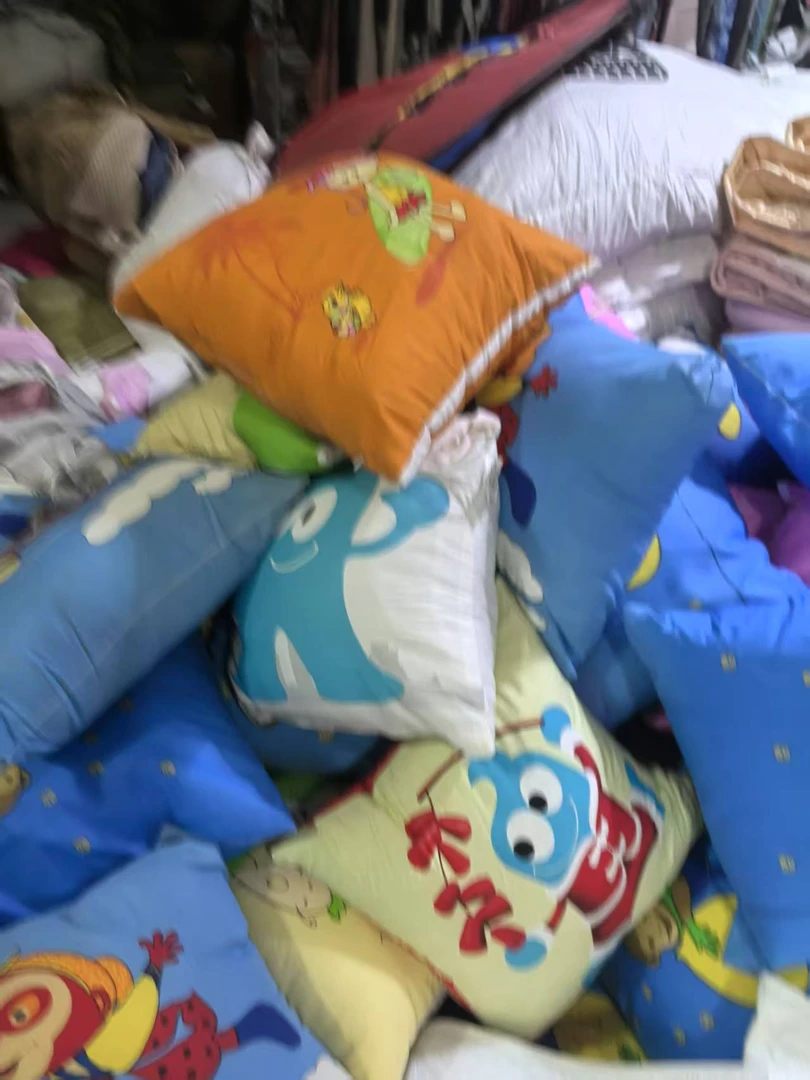 《兵哥外贸》3楼40×40杂款涤棉抱枕芯 发2个 不挑款