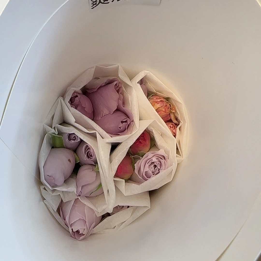 爽混玫瑰玫瑰2把包邮