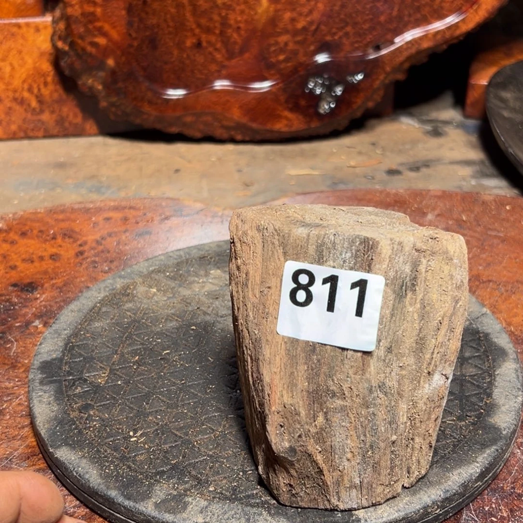 大果紫檀（缅甸花梨）