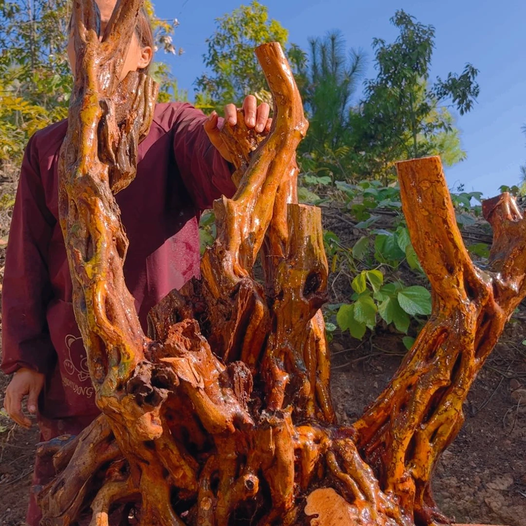 心***水无花朵映山红杜鹃花