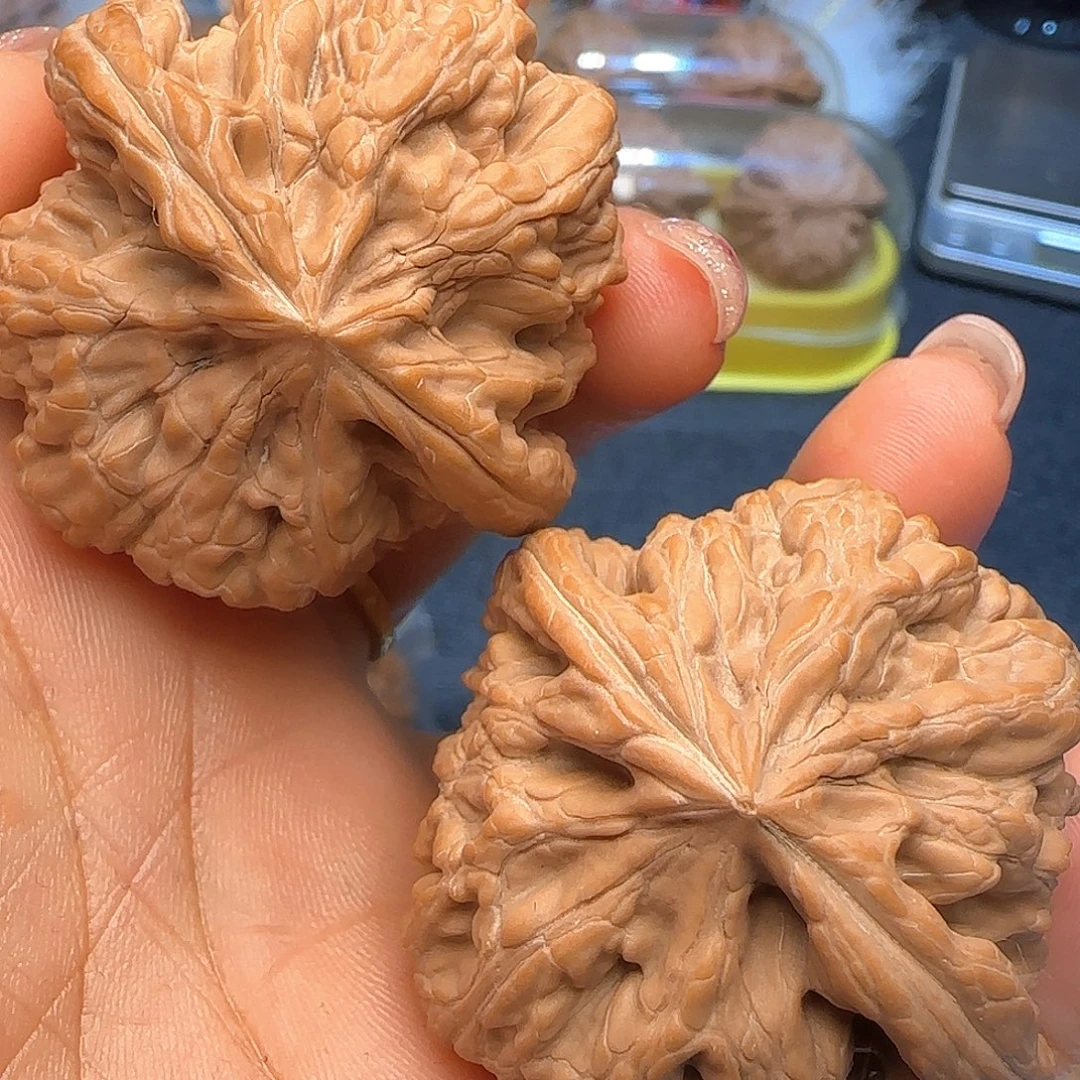 大***白吊坠文玩核桃46九龙粗筋➕打底