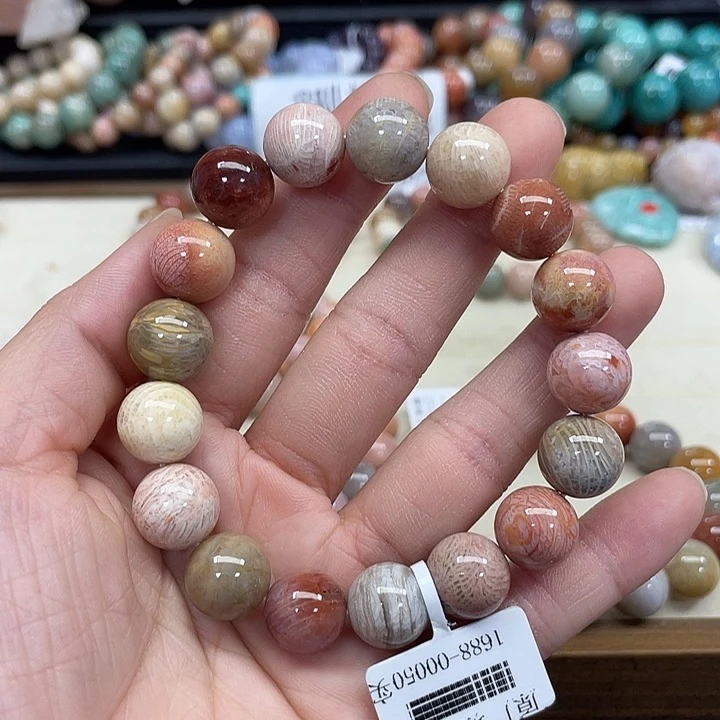 未镶嵌手串硅化珊瑚（珊瑚玉）刘*261