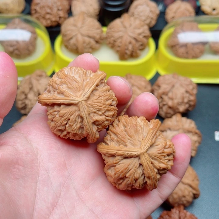 文玩核桃把件白狮子三棱43×42×42