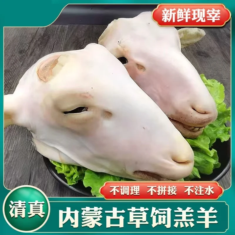 内蒙羔羊新鲜整只羊头含羊舌羊脑肉质鲜嫩适合卤炖商用
