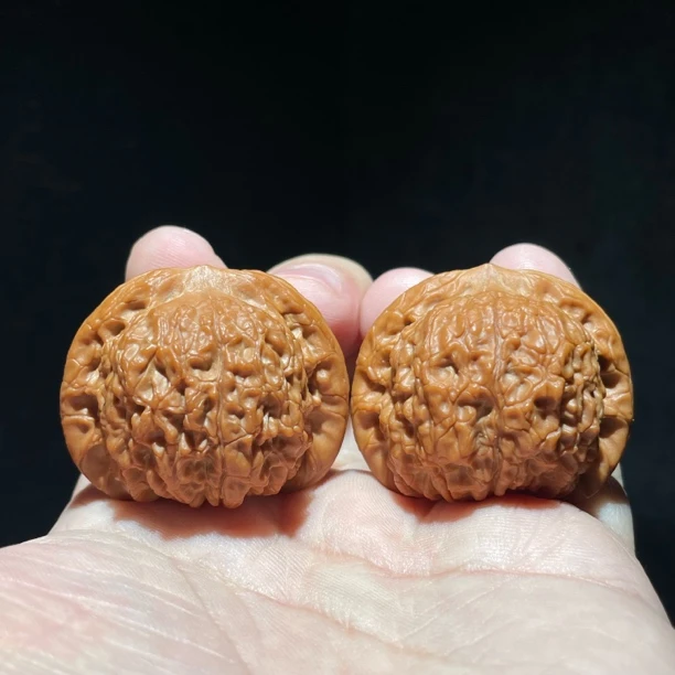 #133血麒麟，全品无修，边40肚37高33。