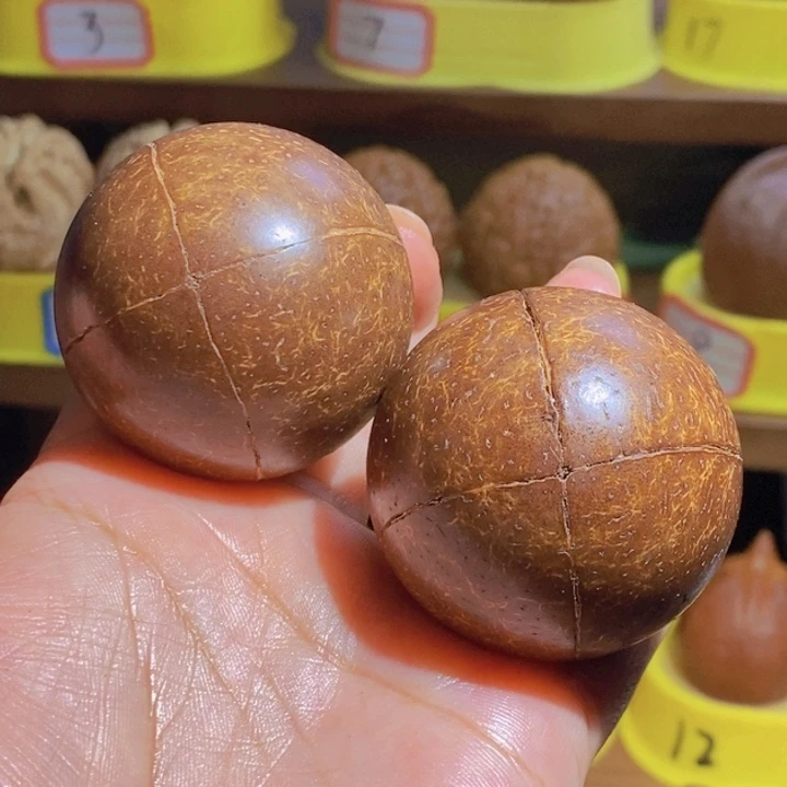 野生四瓣无相金刚45