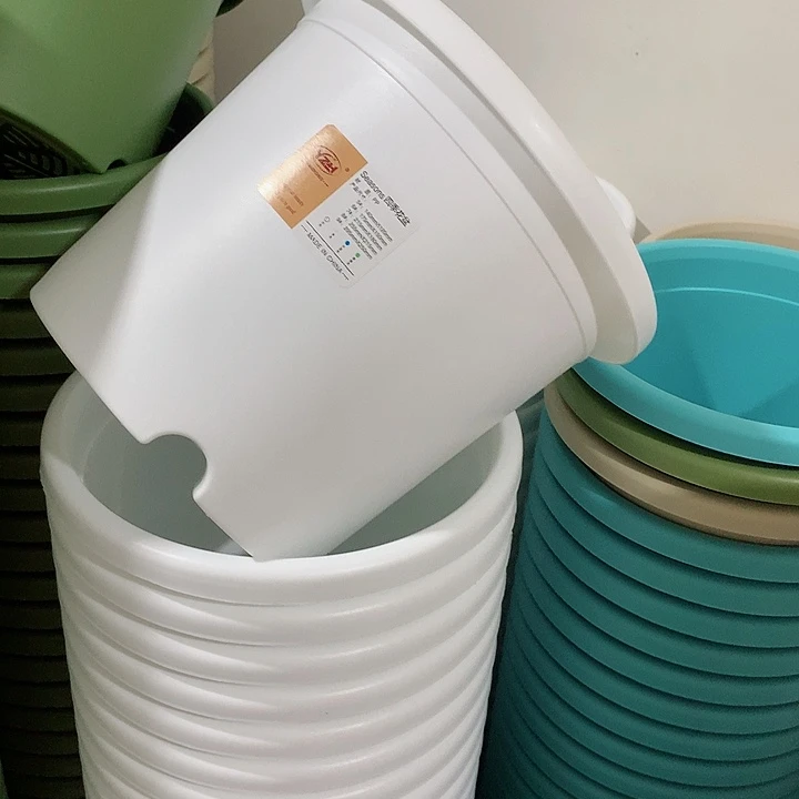 四季口25白3蓝2个无托