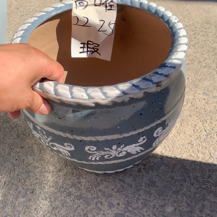 花盆里的小猫咪们都好可爱啊哈哈