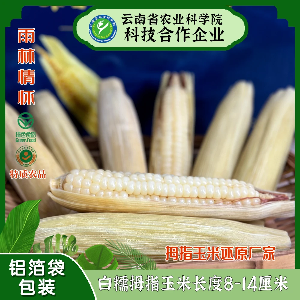 雨林情怀白糯拇指玉米特质农品新鲜带叶正宗真空手指玉米绿色食品
