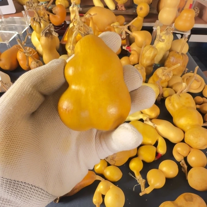 筱***绒面是看看就好尴尬个白白净净斤斤计较斤斤计较