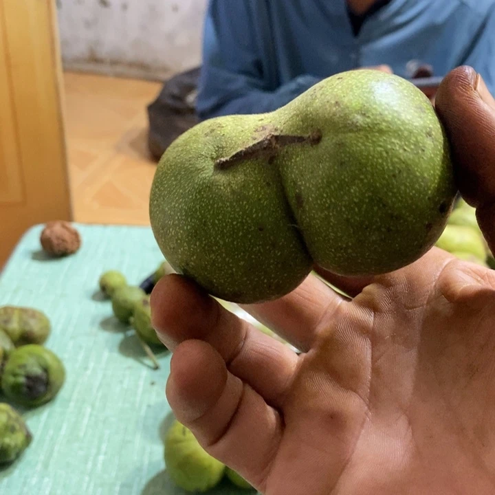 把件文玩核桃J****e