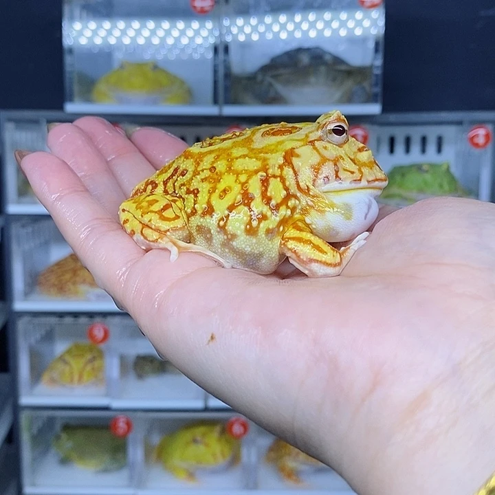 特价秒杀现货特价