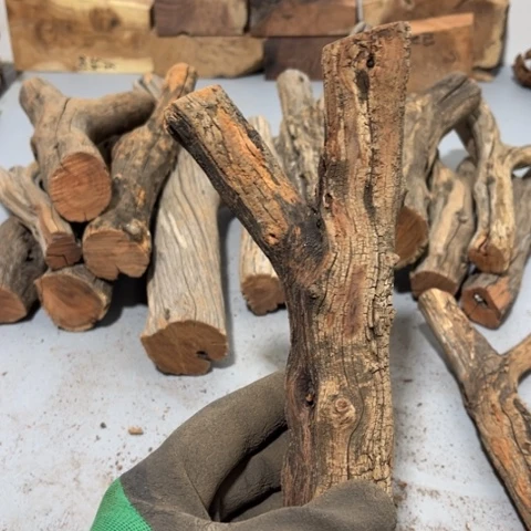 大果紫檀（缅甸花梨）万**新