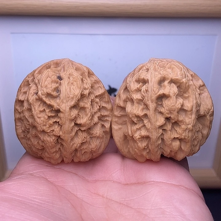 核桃全品小尺将军膀