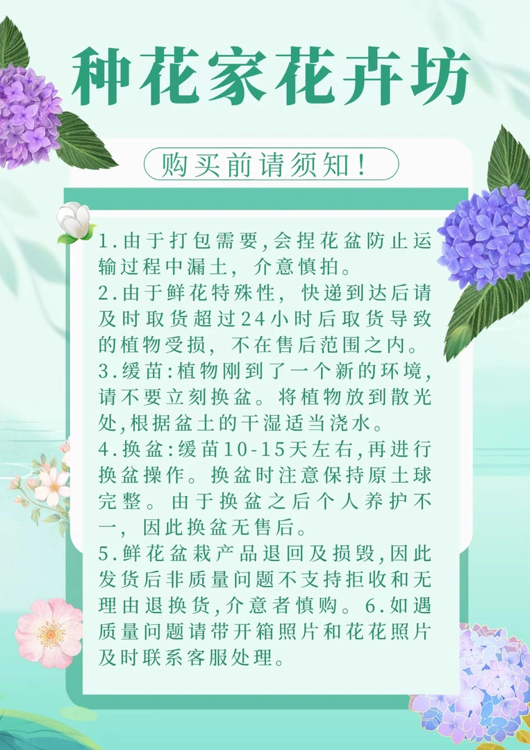 【种花家花卉坊】花卉福利 基地直发 （福利单  无售后  介意勿拍）