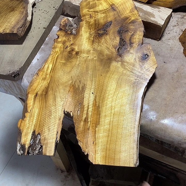 金丝楠木小叶桢楠木