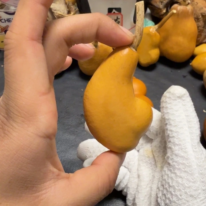 一***好66……………………………………