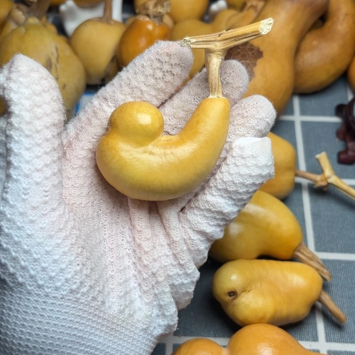 Y***i葫芦66666666666666