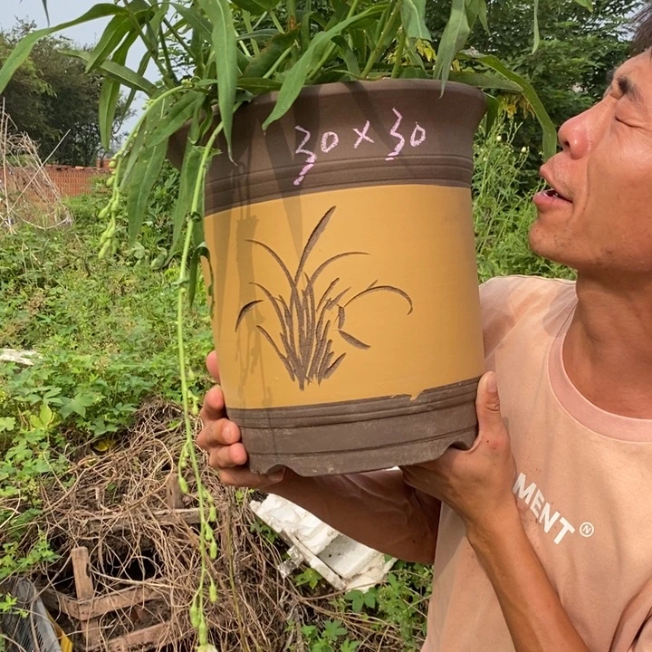 紫砂花盆这个世界上最好不过的