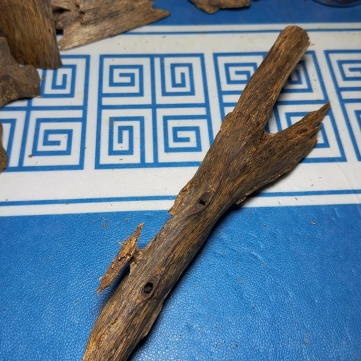 木质绿奇陆河虫漏106克