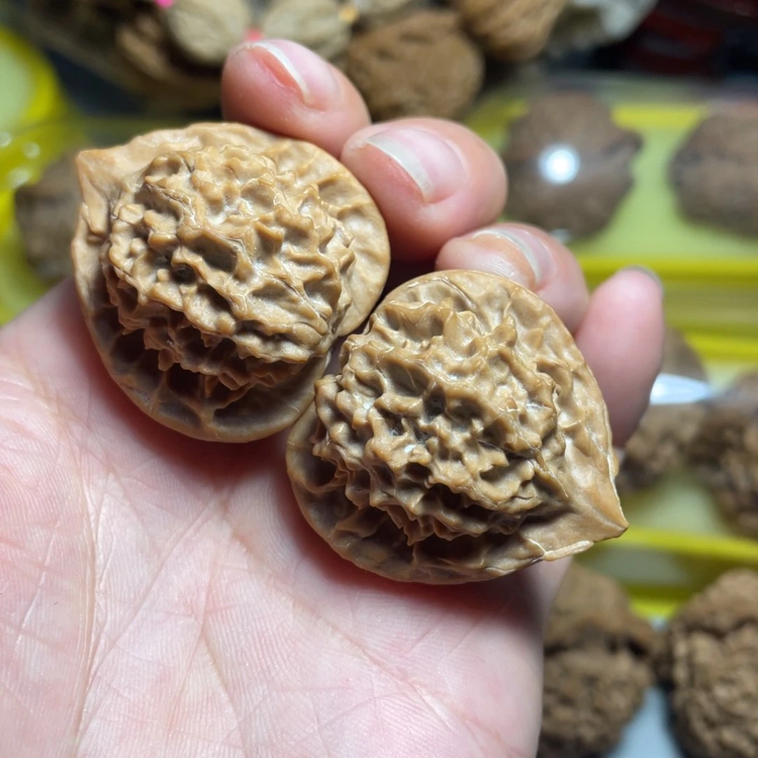 核桃手串/手链精品珊瑚塔33加