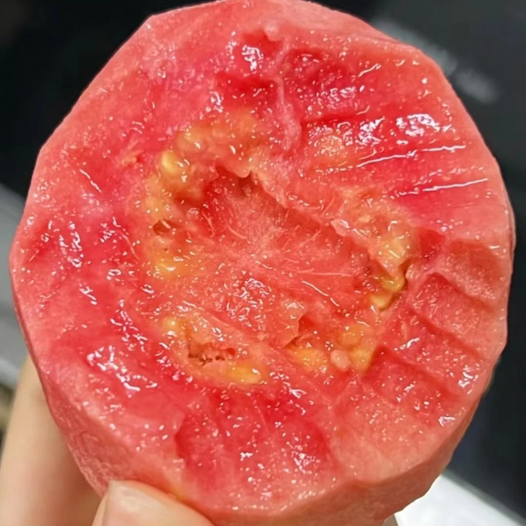 红心芭乐1箱毛重2斤