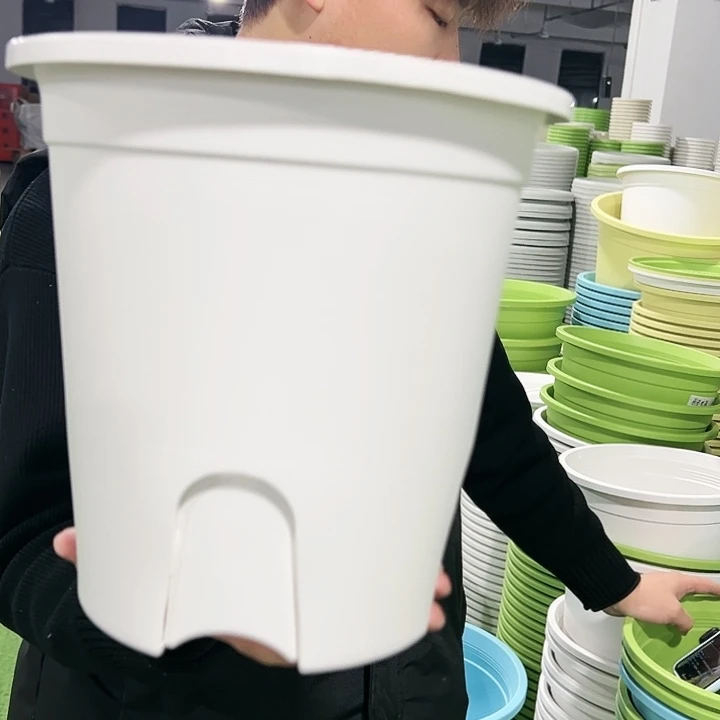 正品圆控口24高24白色5只带托