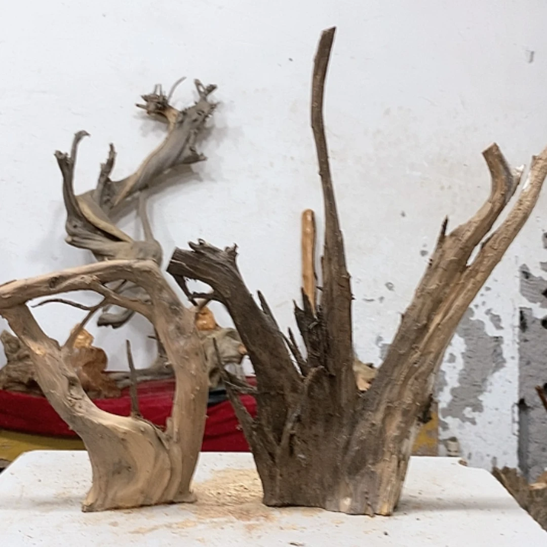 【闪购商品】柏木阳**霖我们都是好孩子