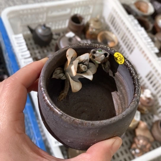 福利多多福利多多