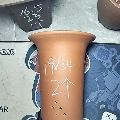 大红兰花两个花盆