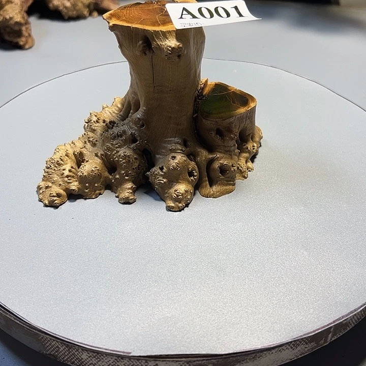 大果紫檀（缅甸花梨）