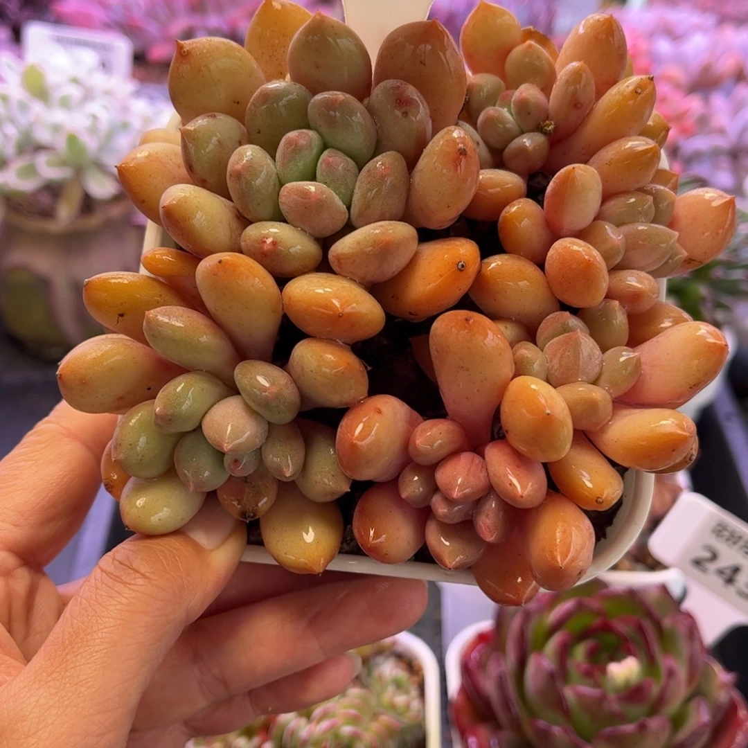 2432 满30包邮天冷地区必拍保温箱