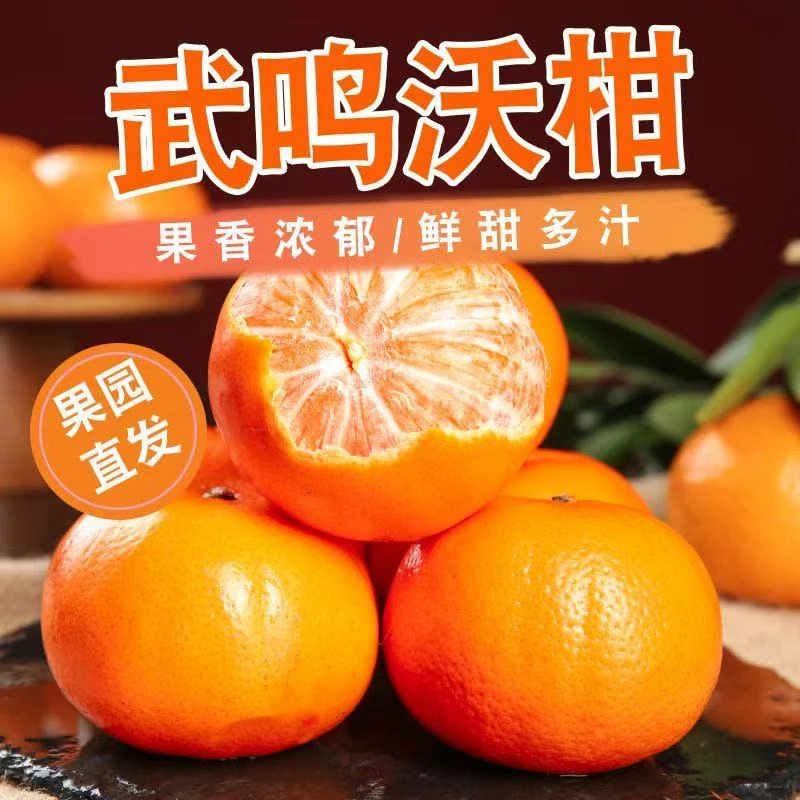 广西武鸣沃柑新鲜水果爆汁应季头茬果现摘现发五斤xm