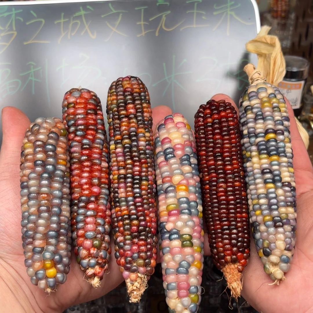 柏香籽/百香籽吊坠狗*