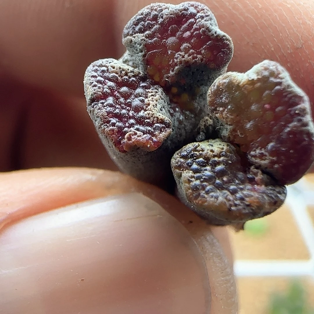 哈哈哈哈哈哈哈哈哈46989