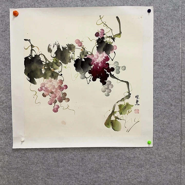 国画花鸟等多种鸟类的分布