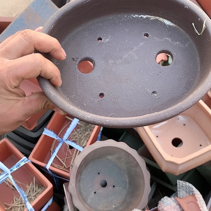 紫砂哈哈真的是太给力太