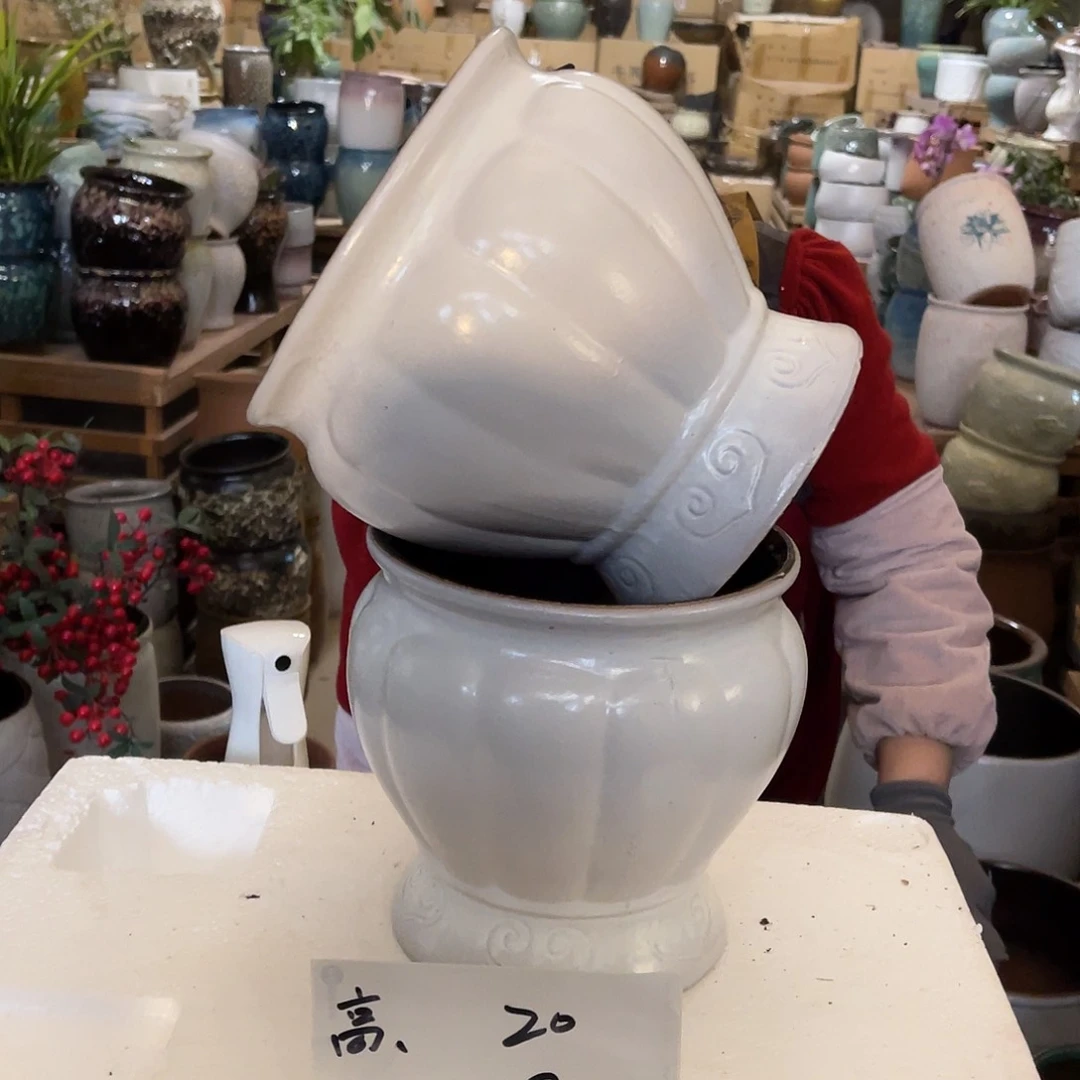 红陶高度20口径18