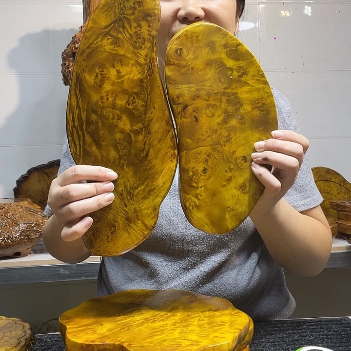 蔡***缘干泡干泡干泡干泡