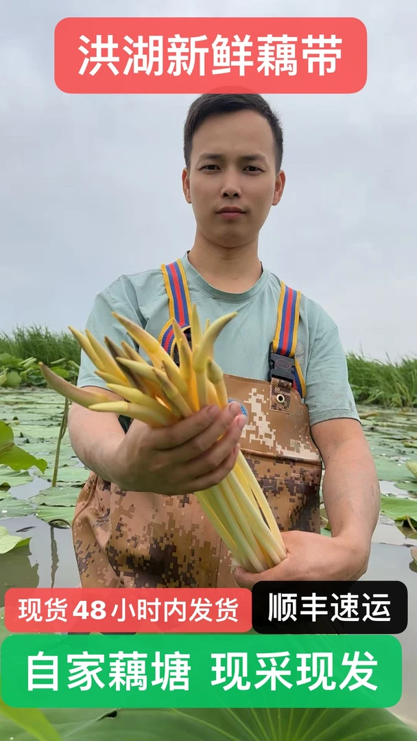 新鲜藕尖藕带【顺丰冷链】湖北特产洪湖现挖藕簪藕肠子藕梢子农产品