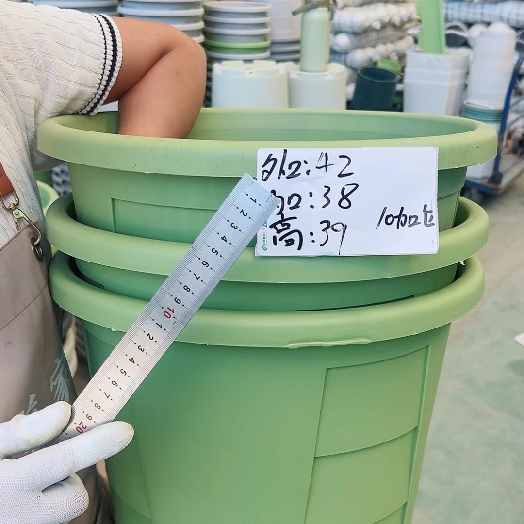 瑕疵玫瑰420#果绿色3个无托