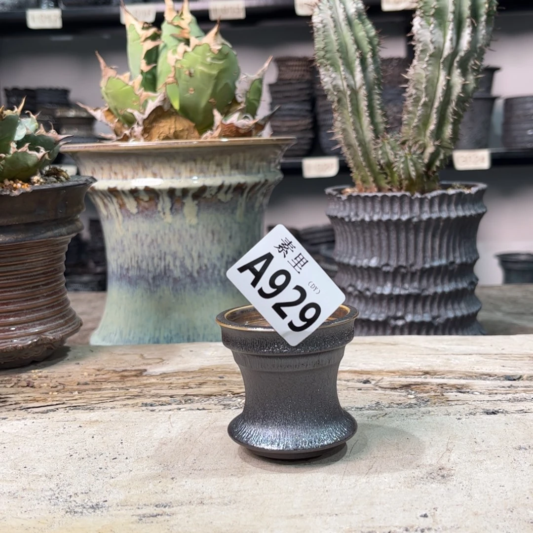 陶内口5高6景德镇