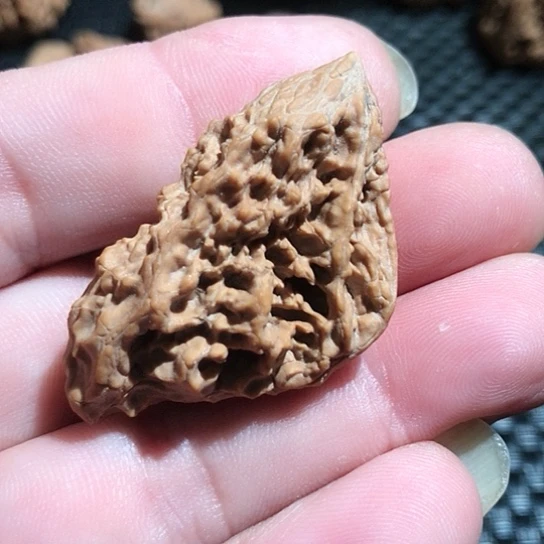 褚***壮把件文玩核桃满天星尖部微瑕