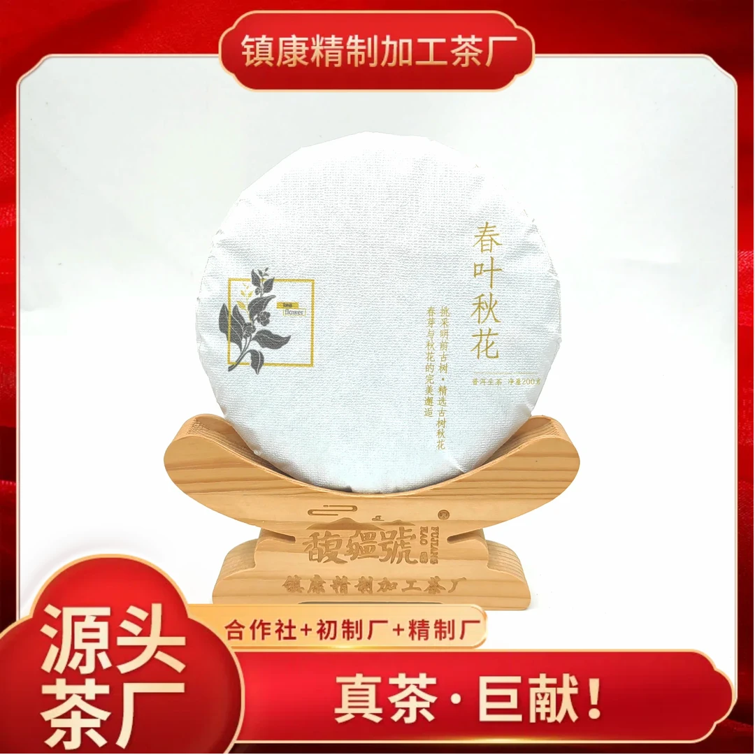 【经典】2024年春/春叶秋花/普洱生茶/茶花与春尖的邂逅