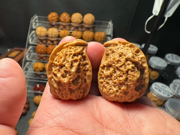 鹰嘴铁核桃  蜡皮皮质