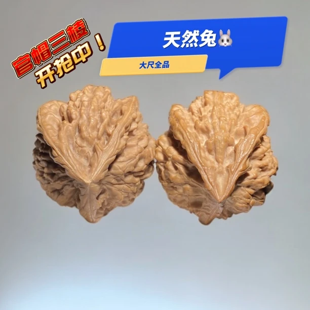 官帽三棱兔 全品天然异形 原桩老树果 高配复制对 一物一图